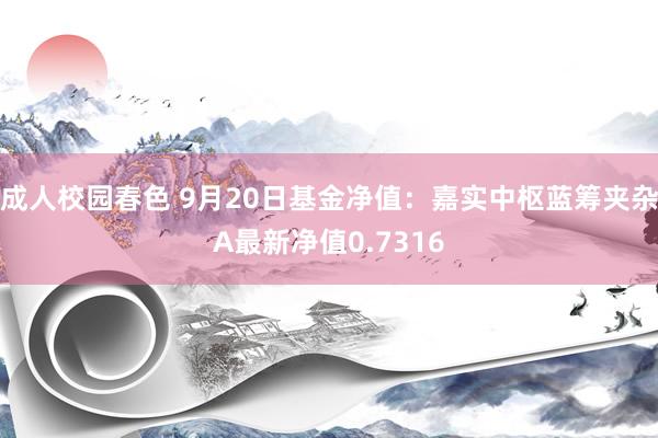 成人校园春色 9月20日基金净值：嘉实中枢蓝筹夹杂A最新净值0.7316