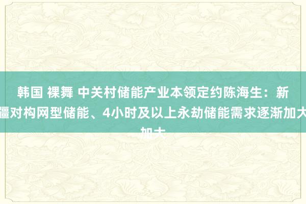 韩国 裸舞 中关村储能产业本领定约陈海生：新疆对构网型储能、4小时及以上永劫储能需求逐渐加大