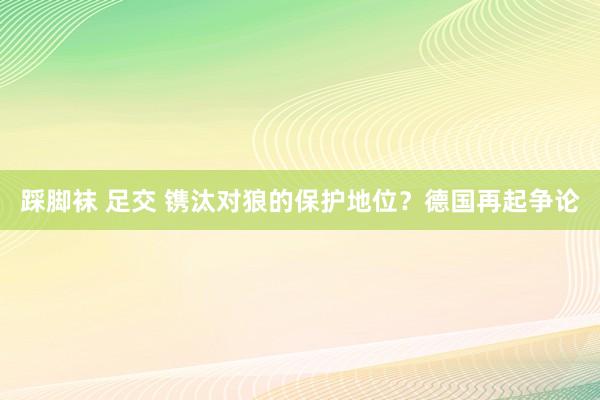 踩脚袜 足交 镌汰对狼的保护地位？德国再起争论