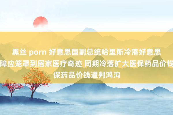 黑丝 porn 好意思国副总统哈里斯冷落好意思国医疗保障应笼罩到居家医疗奇迹 同期冷落扩大医保药品价钱道判鸿沟