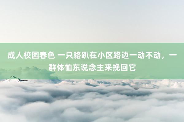 成人校园春色 一只貉趴在小区路边一动不动，一群体恤东说念主来挽回它