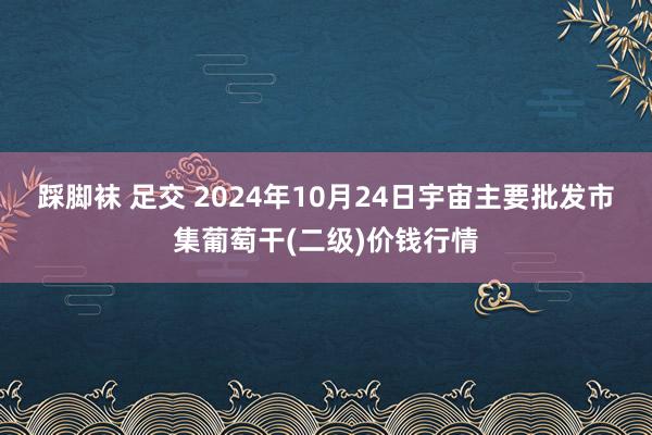 踩脚袜 足交 2024年10月24日宇宙主要批发市集葡萄干(二级)价钱行情