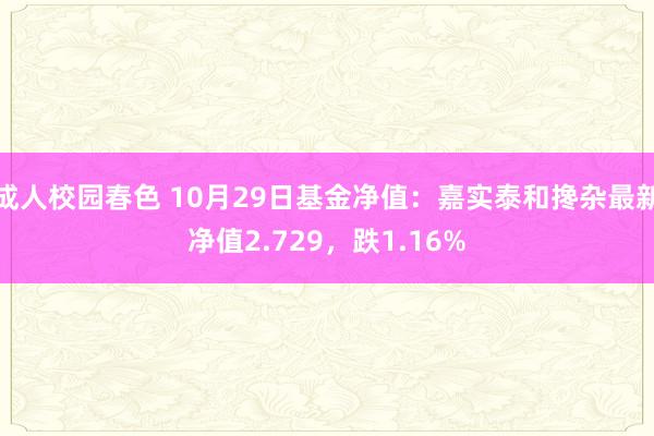 成人校园春色 10月29日基金净值：嘉实泰和搀杂最新净值2.729，跌1.16%