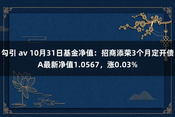 勾引 av 10月31日基金净值：招商添荣3个月定开债A最新净值1.0567，涨0.03%