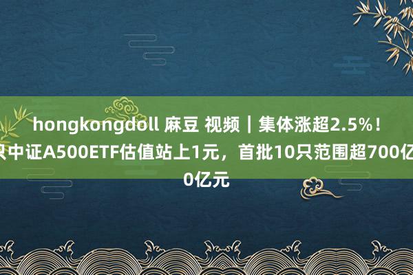 hongkongdoll 麻豆 视频｜集体涨超2.5%！6只中证A500ETF估值站上1元，首批10只范围超700亿元