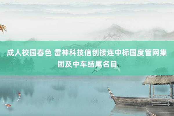 成人校园春色 雷神科技信创接连中标国度管网集团及中车结尾名目