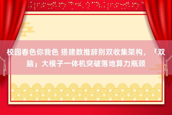 校园春色你我色 搭建数推辞别双收集架构，「双脑」大模子一体机突破落地算力瓶颈