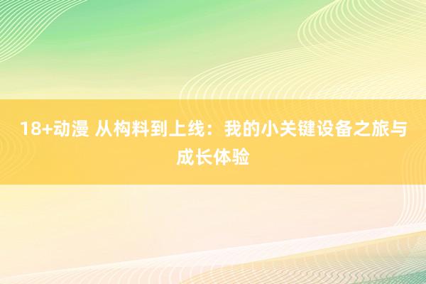 18+动漫 从构料到上线：我的小关键设备之旅与成长体验