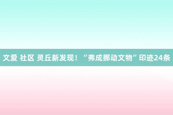 文爱 社区 灵丘新发现！“弗成挪动文物”印迹24条