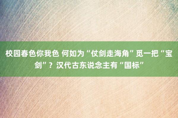 校园春色你我色 何如为“仗剑走海角”觅一把“宝剑”？汉代古东说念主有“国标”