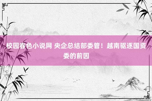 校园春色小说网 央企总结部委管！越南驱逐国资委的前因