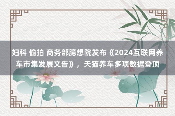 妇科 偷拍 商务部臆想院发布《2024互联网养车市集发展文告》，天猫养车多项数据登顶