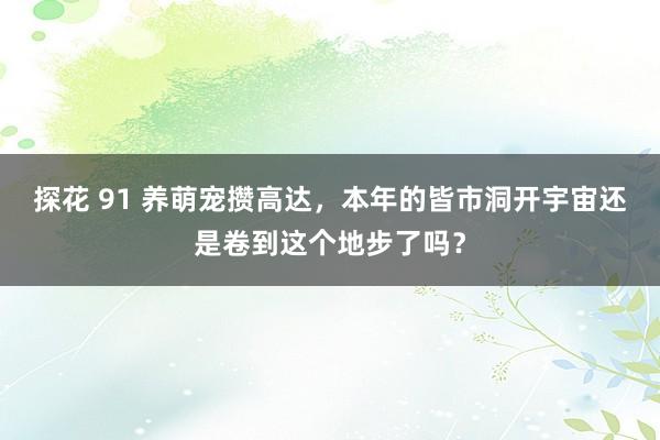 探花 91 养萌宠攒高达，本年的皆市洞开宇宙还是卷到这个地步了吗？