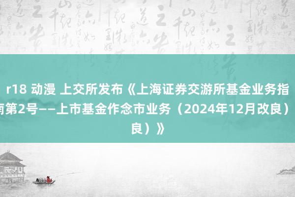 r18 动漫 上交所发布《上海证券交游所基金业务指南第2号——上市基金作念市业务（2024年12月改良）》