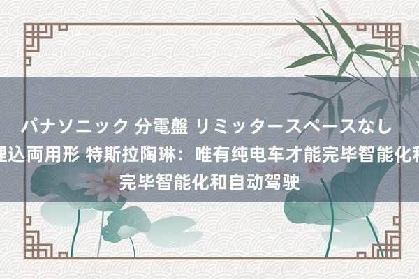 パナソニック 分電盤 リミッタースペースなし 露出・半埋込両用形 特斯拉陶琳：唯有纯电车才能完毕智能化和自动驾驶