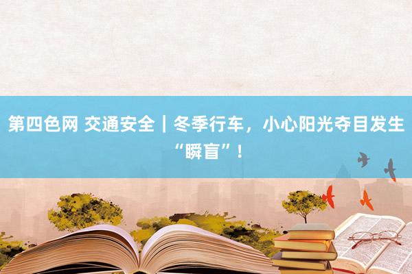 第四色网 交通安全｜冬季行车，小心阳光夺目发生“瞬盲”！