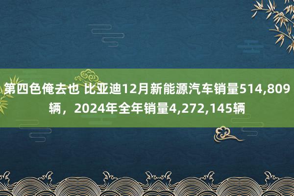 第四色俺去也 比亚迪12月新能源汽车销量514，809辆，2024年全年销量4，272，145辆