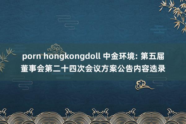 porn hongkongdoll 中金环境: 第五届董事会第二十四次会议方案公告内容选录