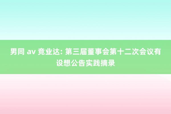 男同 av 竞业达: 第三届董事会第十二次会议有设想公告实践摘录