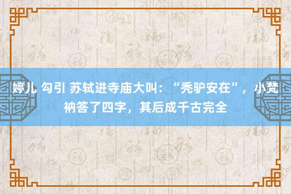 婷儿 勾引 苏轼进寺庙大叫：“秃驴安在”，小梵衲答了四字，其后成千古完全