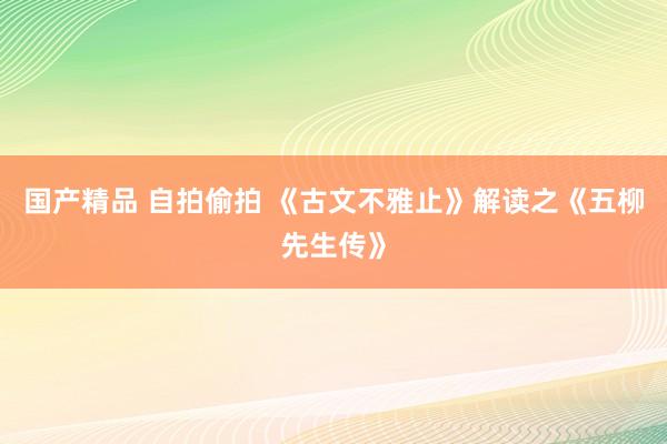 国产精品 自拍偷拍 《古文不雅止》解读之《五柳先生传》