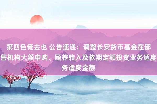 第四色俺去也 公告速递：调整长安货币基金在部分销售机构大额申购、颐养转入及依期定额投资业务适度金额