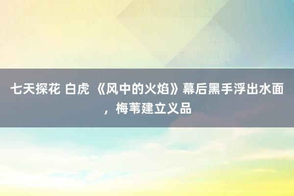 七天探花 白虎 《风中的火焰》幕后黑手浮出水面，梅苇建立义品