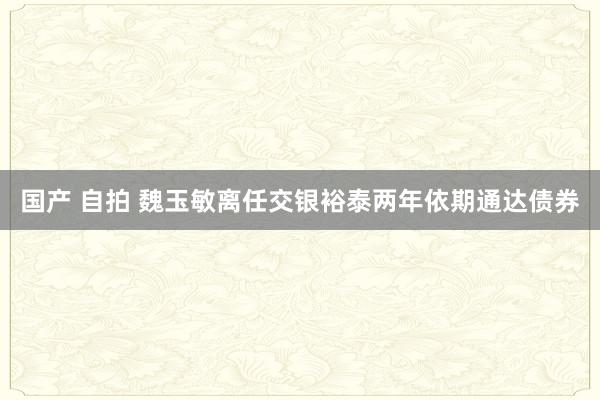 国产 自拍 魏玉敏离任交银裕泰两年依期通达债券