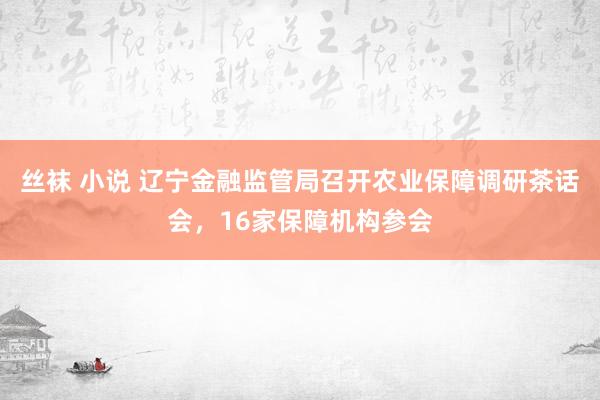 丝袜 小说 辽宁金融监管局召开农业保障调研茶话会，16家保障机构参会