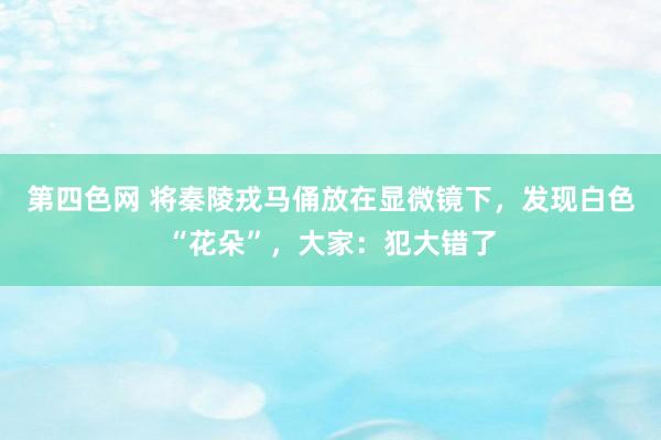 第四色网 将秦陵戎马俑放在显微镜下，发现白色“花朵”，大家：犯大错了