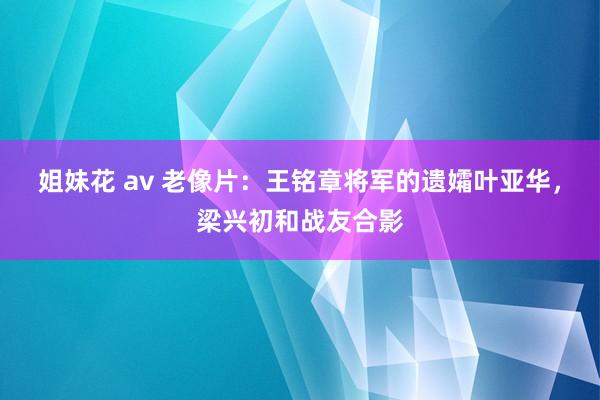 姐妹花 av 老像片：王铭章将军的遗孀叶亚华，梁兴初和战友合影