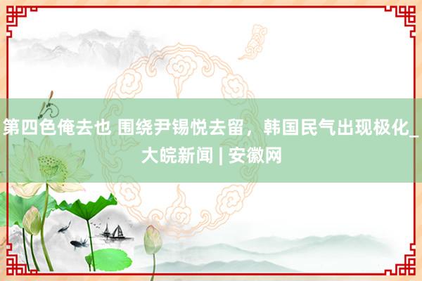 第四色俺去也 围绕尹锡悦去留，韩国民气出现极化_大皖新闻 | 安徽网