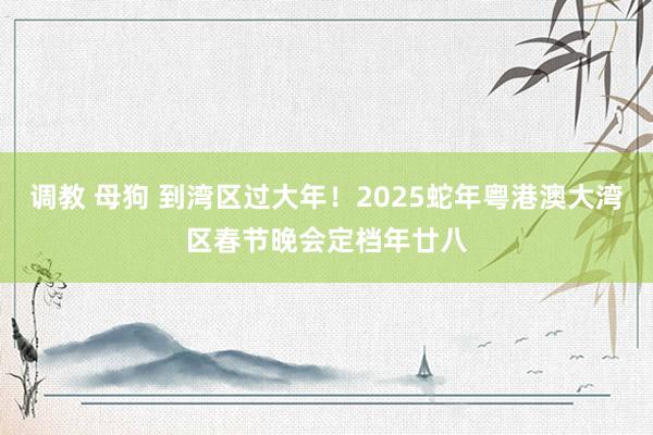 调教 母狗 到湾区过大年！2025蛇年粤港澳大湾区春节晚会定档年廿八