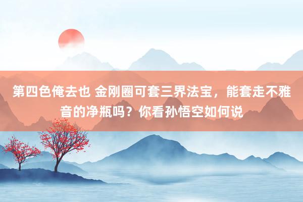 第四色俺去也 金刚圈可套三界法宝，能套走不雅音的净瓶吗？你看孙悟空如何说