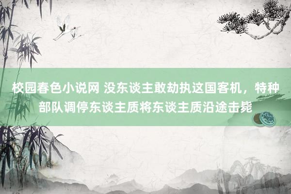 校园春色小说网 没东谈主敢劫执这国客机，特种部队调停东谈主质将东谈主质沿途击毙