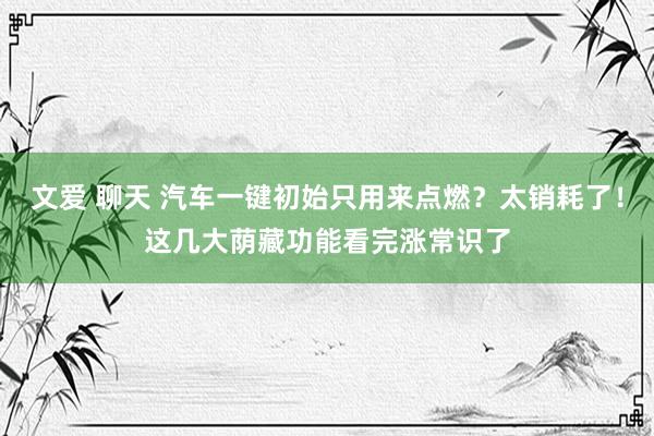 文爱 聊天 汽车一键初始只用来点燃？太销耗了！这几大荫藏功能看完涨常识了